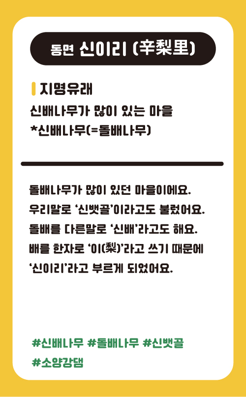 신이리